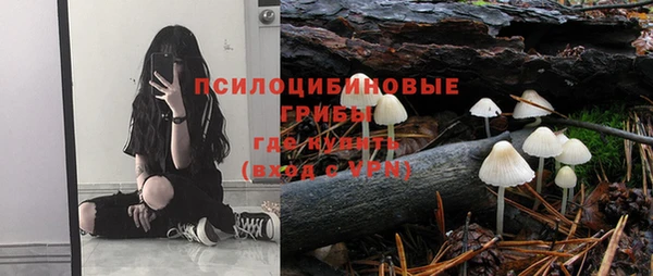 мескалин Бородино