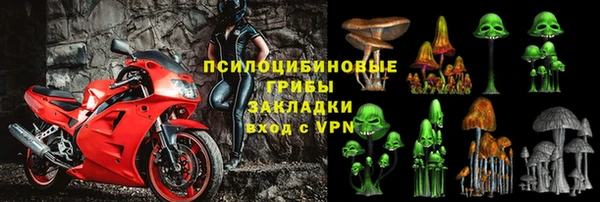 мескалин Бородино