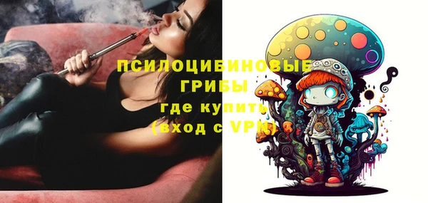 мескалин Бородино