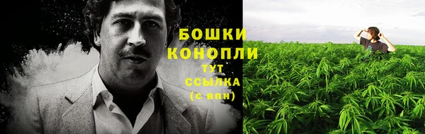 мескалин Бородино
