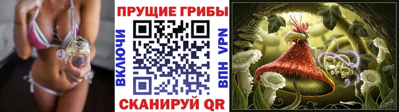 Купить где  Гатчина  Галлюциногенные грибы MAGIC MUSHROOMS 